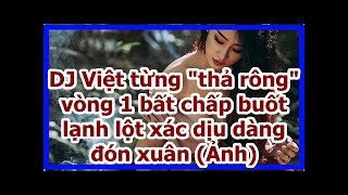 DJ Việt từng \