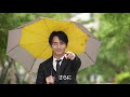 逆さま傘「TWO FOLD REVERSE UMBRELLA 2.0」