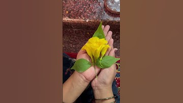 एक बेल पत्र और सात कनेर के फूल का विशेष उपाय #pradeepmishrajikeupay #pradeepmishra