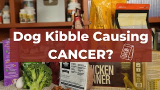 Can dog kibble really cause cancer? There may be more truth to this than you think...