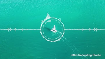 The Whole Other - Puppets Pulling Strings