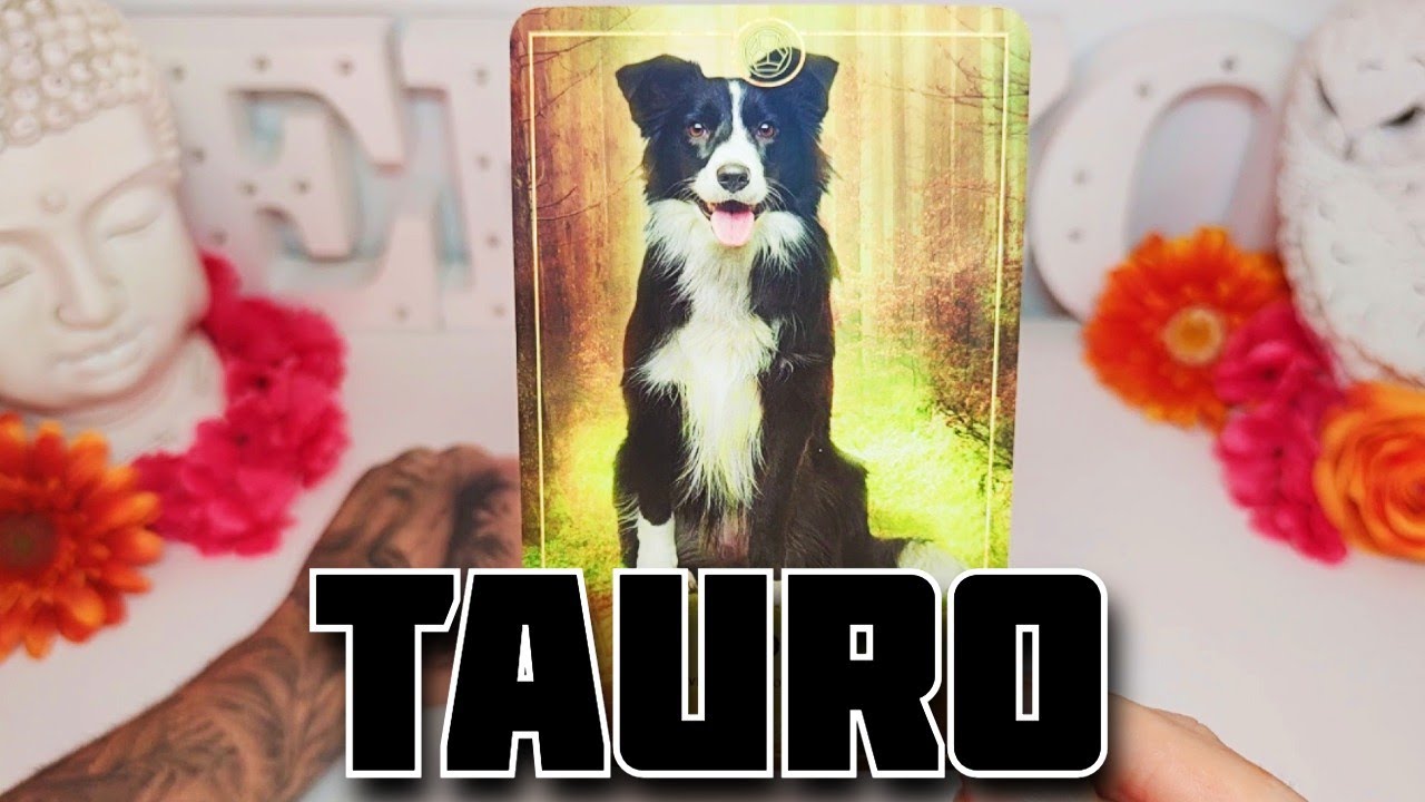 TAURO ♉️ EL 20 DE NOVIEMBRE TE VA A DAR UN INFARTO ️😰 HOROSCOPO #TAURO ...