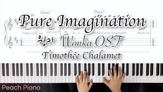 Pure Imagination - Timothée Chalamet