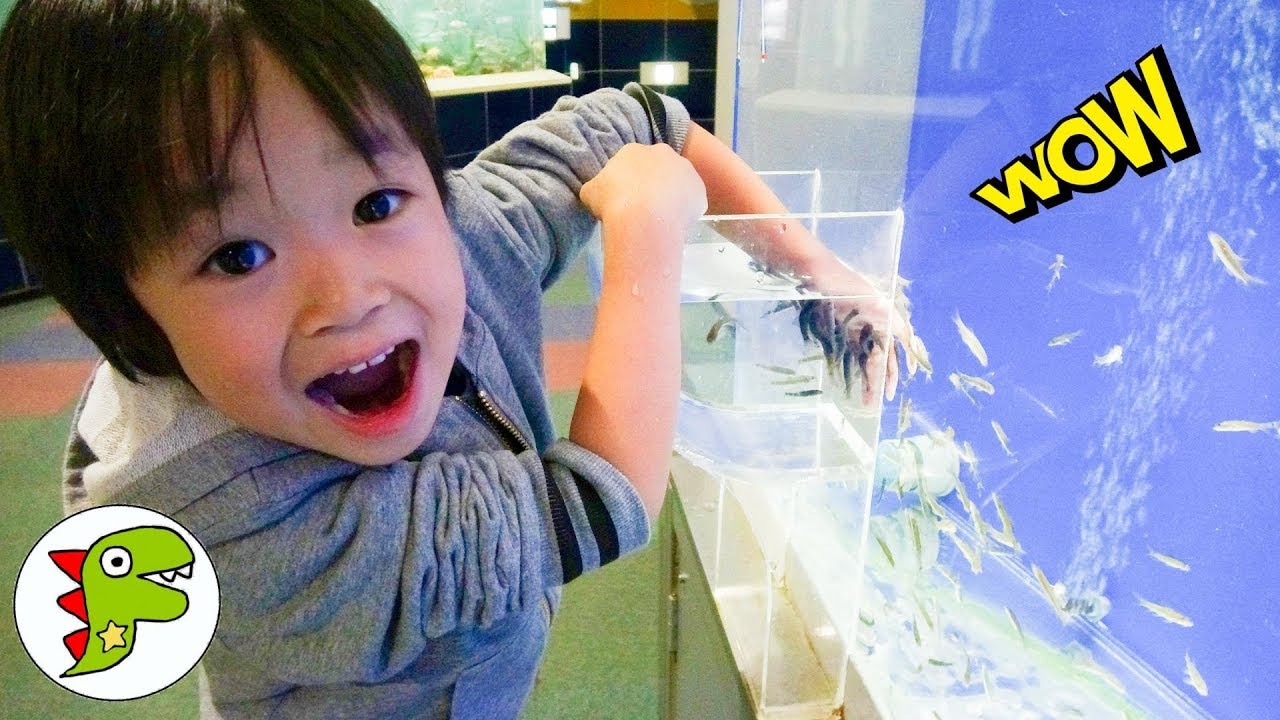 おでかけ 北海道札幌 サンピアザ水族館へ行ったよ！ トイキッズ