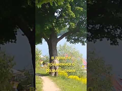 Сколько платят беженцам