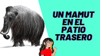 Encontró un mamut en el patio trasero