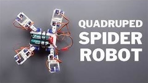 QUADRUPED SPIDER ROBOT