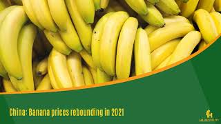 China: Banana prices rebounding in 2021