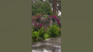 #سورة الزمر #سعود الشريم #قرآن  الاية 53 56#القرآن  #اكسبلور #viral