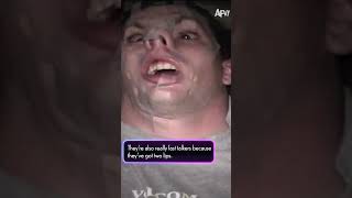 Spring Is Here And So Is... Whatever This Is??