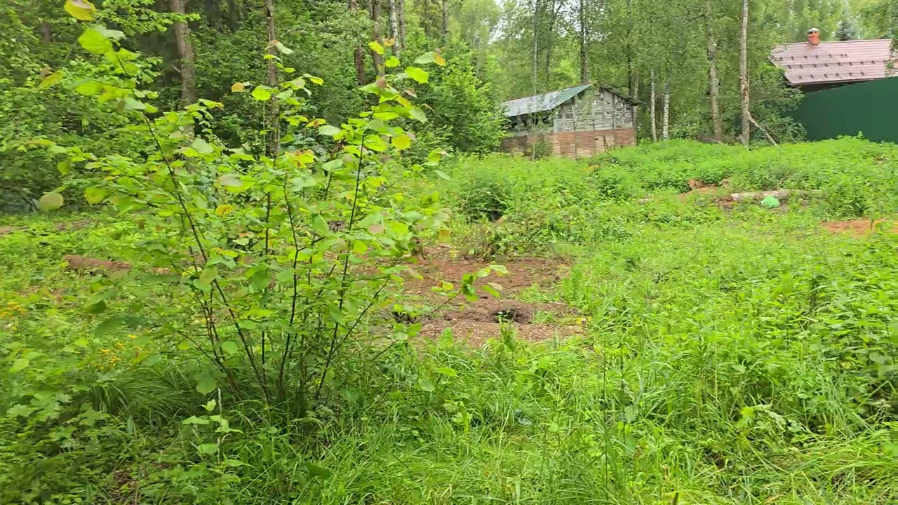 Водоем в лесу, начинаем строить.