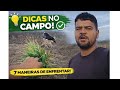 1° PASTEJO DO BEZERRO + DICAS PARA ENFRENTAR DESAFIOS NO CAMPO