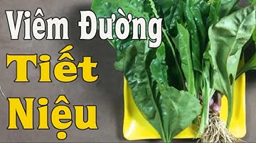 Cách chữa viêm đường tiết niệu tại nhà, bệnh nặng mấy cũng khỏi ngay tức khắc [Mẹo Sống Khỏe VTT7]