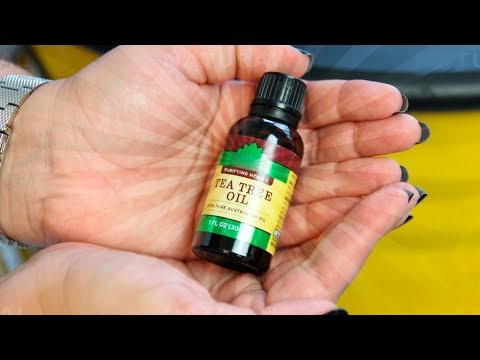 Wideo: Olejek Z Drzewa Herbacianego Na Pchły: Czy Jest Bezpieczny?