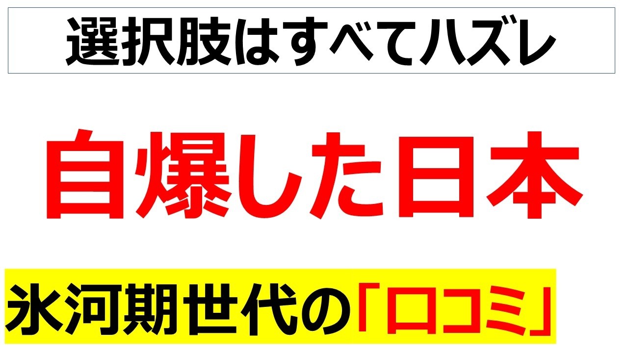 自ら崩壊する選択肢を30年間選び続けた末路が今の地獄化した日本だと嘆く氷河期世代の口コミを20件紹介します