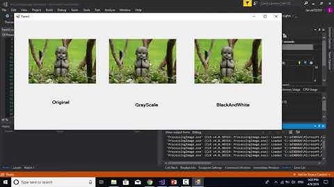 Convert a color image into grascale and black-white in C#