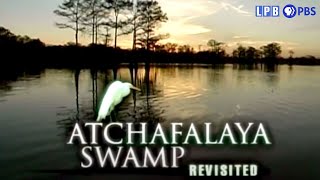Atchafalaya Swamp Revisited (2004)