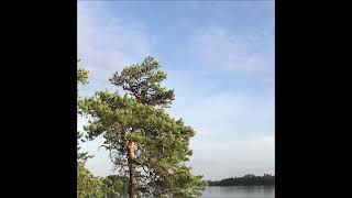 Aleksi Perälä - FI3AC2036010
