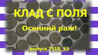 КЛАД с Поля. Удача! Собрал царские монеты. Выпуск 7518 - 13!