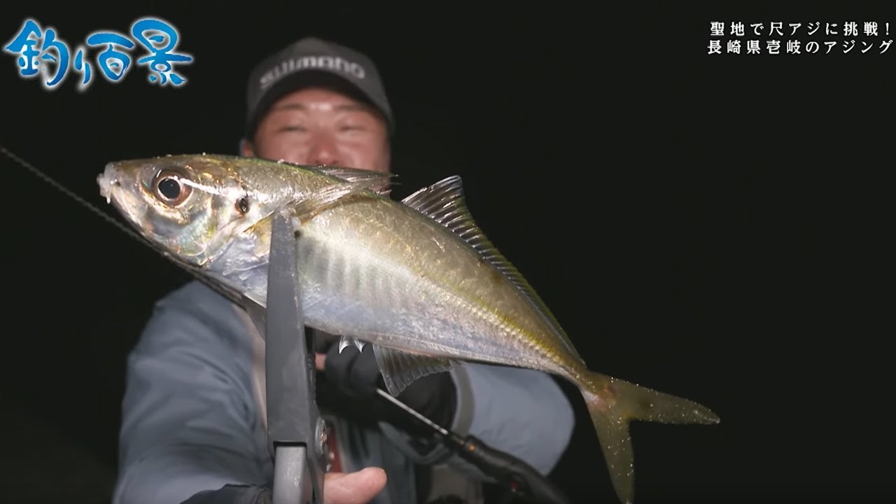 釣り百景 432 聖地で尺アジに挑戦 長崎県壱岐のアジング Youtube