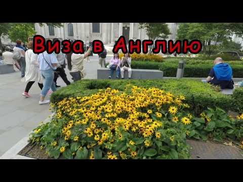 Виза в Великобританию. Оформление визы без проблем. 5 причин отказа в визе.