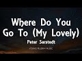Peter Sarstedt Where Do You Go To My Lovely Lyrics Peter Sarstedt Where Do You Go To My Lovely Lyrics