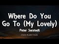 Peter Sarstedt - Where Do You Go To (My Lovely) [Lyrics]