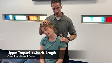 MSK 2   Cervical Upper Trap Muscle Length