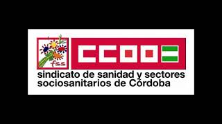Campus Virtual CCOO screenshot 5