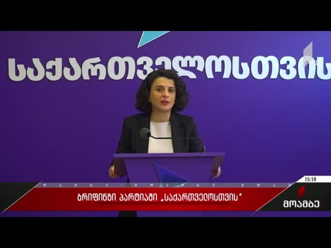 ბრიფინგი პარტიაში „საქართველოსთვის“