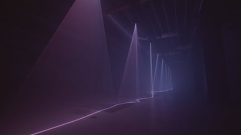 Between Mind and Matter