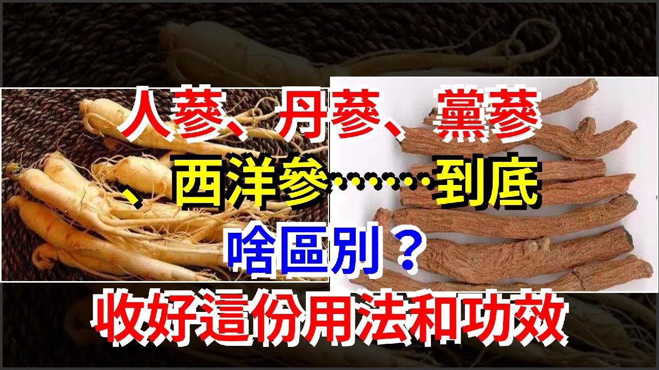 人蔘、丹蔘、黨蔘、西洋參……到底啥區別？收好這份用法和功效 - YouTube