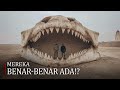 Apakah Megalodon Lebih Dari Sekadar Monster Laut? Penemuan di Gurun Mengejutkan Para Ahli