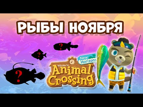 Video: Animal Crossing Golden Pstruh: Ako Chytiť Pstruha Zlatého A Nájsť Polohu útesu V New Horizons