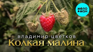 Владимир Цветков - Колкая Малина (Альбом 2024)