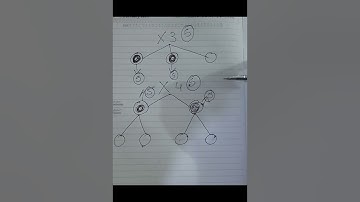 How forsage gives income? How x3 and x4 works. Forsage.io busd.forsage.io