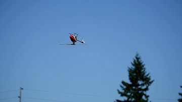 Blade 230s V2 inverted stable