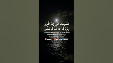 ماهر المعيقلي - سورة البقرة ( برواية حفص عن عاصم ) الأية 72 - 73
