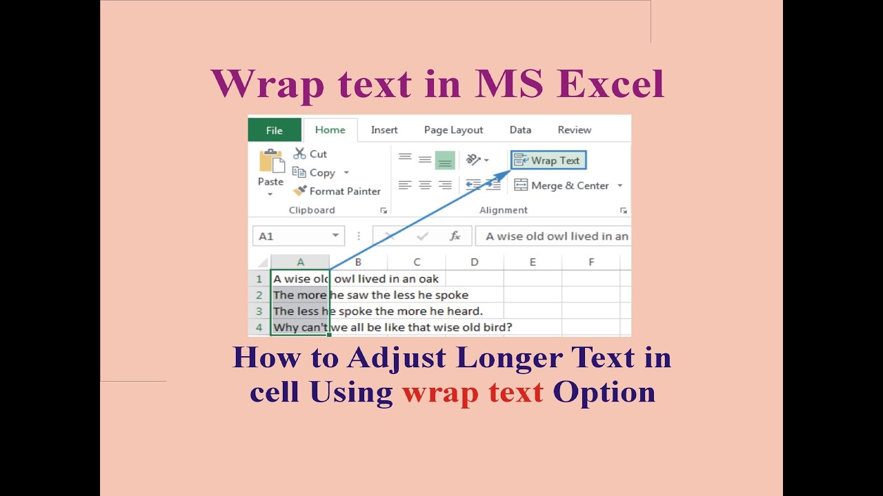 MS Excel- How To Fit Longer Text or Text Wrapping In MS Excel? - YouTube