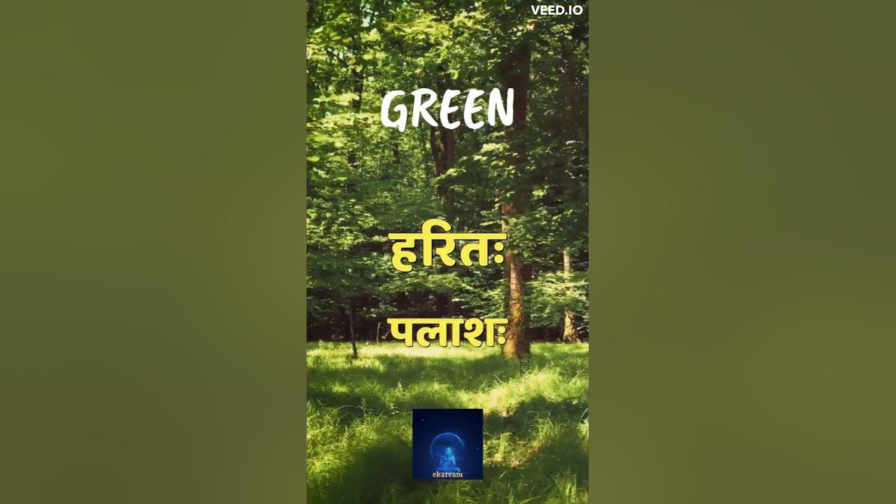 Sanskrit word for Green 🟢🟢🟢 | Colour in Sanskrit | Learn Sanskrit for