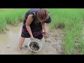 Woman catch fishs and Turtle in the field