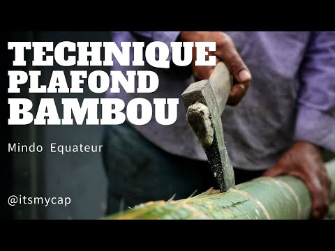 Le travail du bambou, astuces et conseils pour vos plafonds décoratifs !!