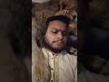 Lion Challenge #viral #shorts #lion #challenge