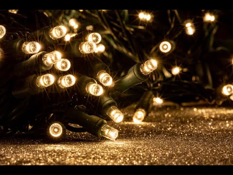 Warm White Chasing 240 LED Mini Lights