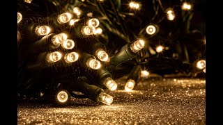 Warm White Chasing 240 LED Mini Lights