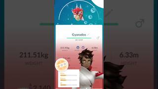 shinny gyrados found in wild!