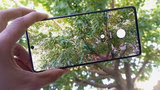 Samsung Galaxy A71 5G Camera Test: Image Quality, Features, and More!