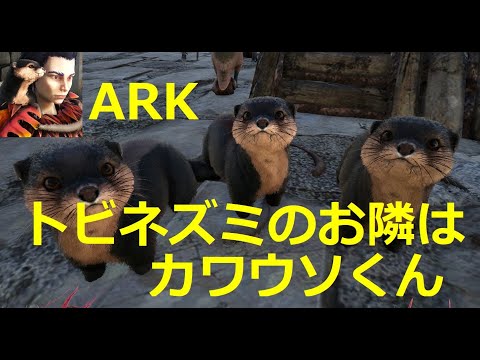 印刷可能 Ark ラグナロク カワウソ 座標 最高の壁紙のアイデアdahd