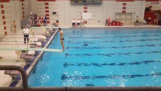 1m diving 203b