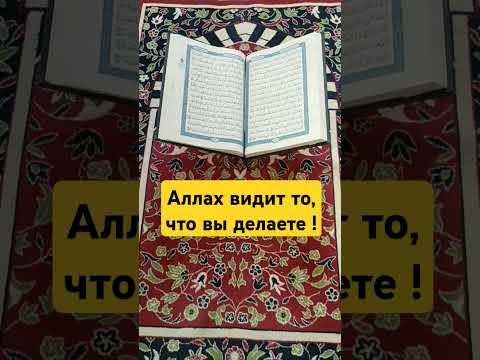 Смыслы Корана #истина